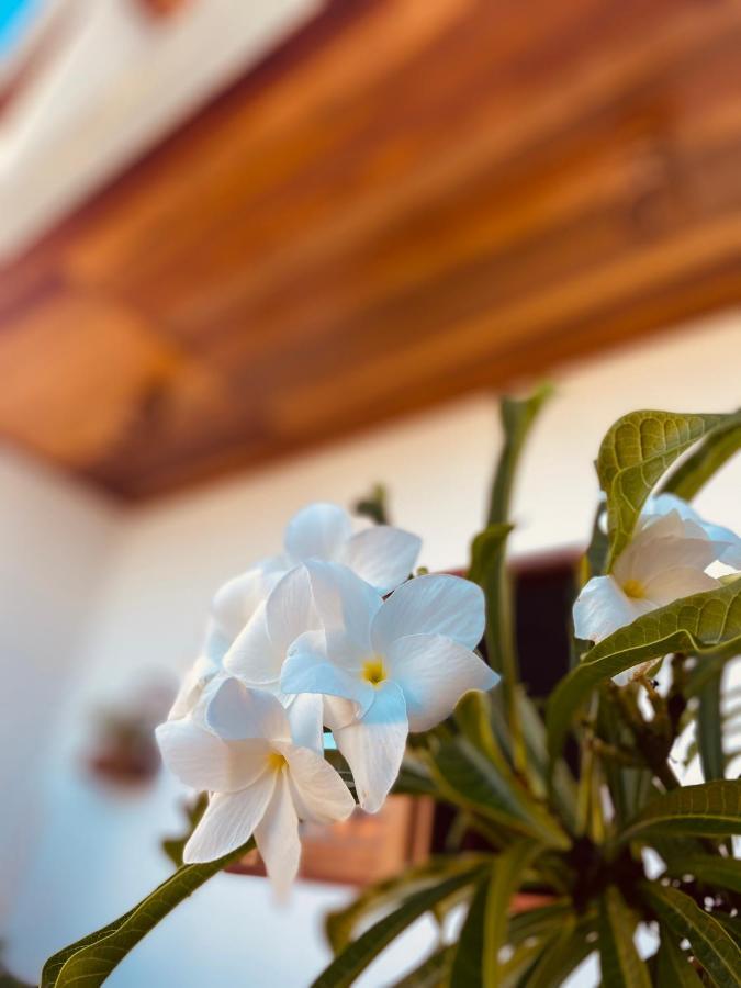 Beach Eco Stays Hotel Boutique Lagoinha 帕赖帕巴 外观 照片