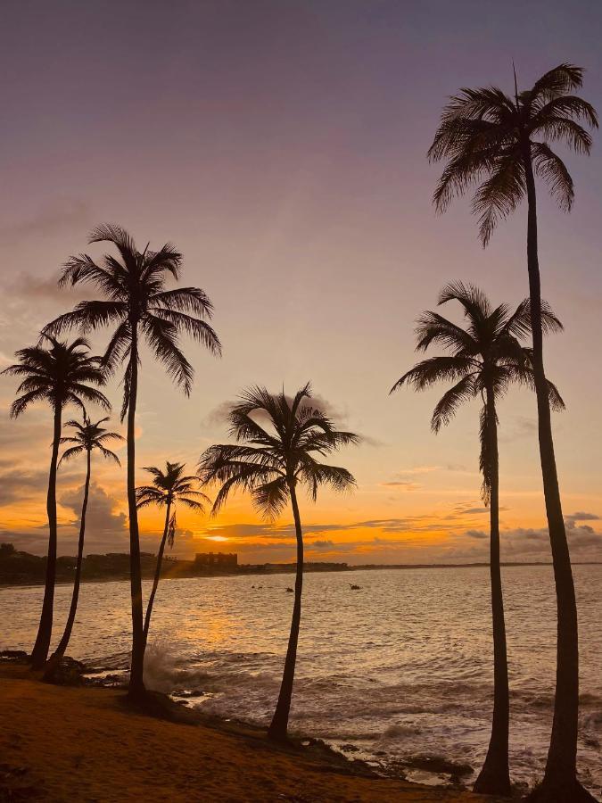Beach Eco Stays Hotel Boutique Lagoinha 帕赖帕巴 外观 照片