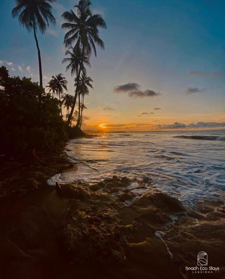 Beach Eco Stays Hotel Boutique Lagoinha 帕赖帕巴 外观 照片